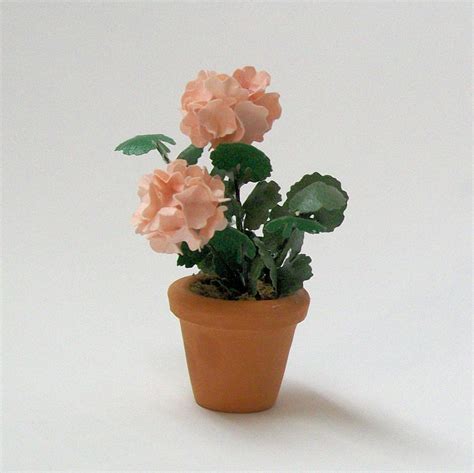 Miniature Pink Geranium With 2 Full Blooms Potted House Plant Etsy