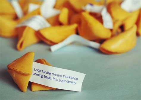 Pin By My Craft Assistant On Dreams Fortune Cookie Little Reasons To