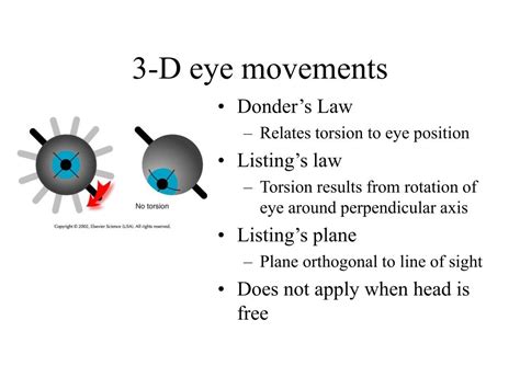 Ppt Eye Movements Powerpoint Presentation Free Download Id3600563