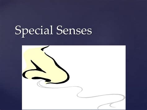 Ppt Special Senses Powerpoint Presentation Free Download Id1871785
