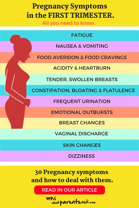 understanding the timing of first trimester pregnancy symptoms expecting mother s blog