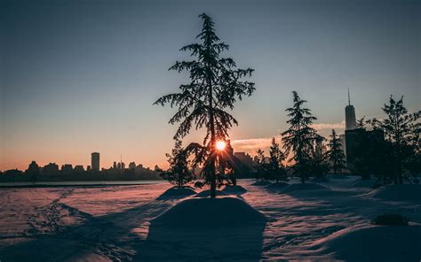Download 3840x2400 Wallpaper City Park Winter Tree Sunrise Morning