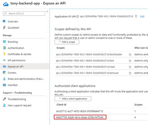 Azure Active Directory Get Access Token Using Azure CLI Find Error