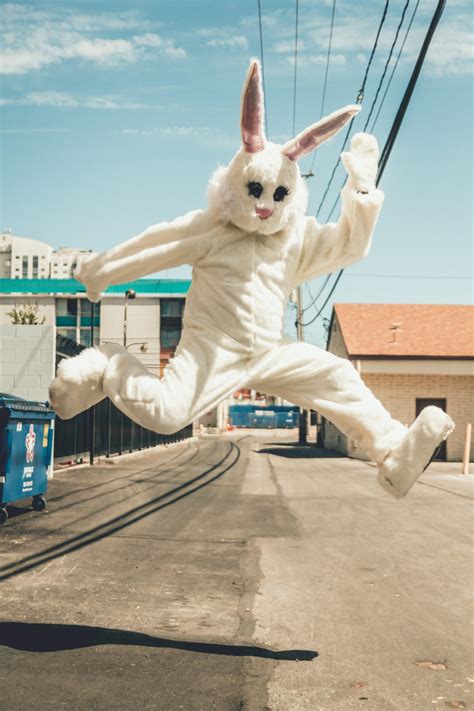 Man In Bunny Costume In Mid Air In Time Lapse Photography Photo Free