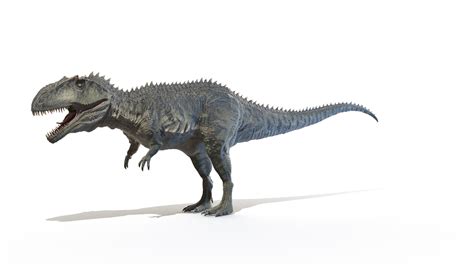 Giganotosaurus Giganoto D Model Turbosquid