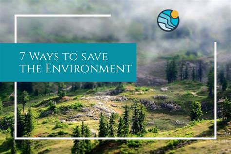 7 Ways To Save The Environment Westonbirt Arboretum
