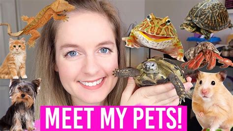 Meet My Pets 2018 All 12 Youtube