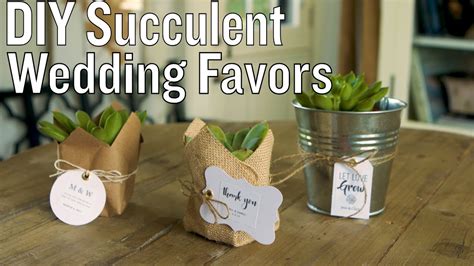 Succulent Wedding Favors Best Succulent Ideas