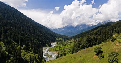 Nature Landscape Valley Kashmir Mountain Forest