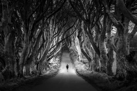 Amazing Black White Landscape Photos That Will Leave You In Awe