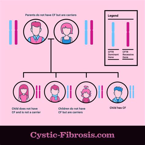 What Causes Cystic Fibrosis