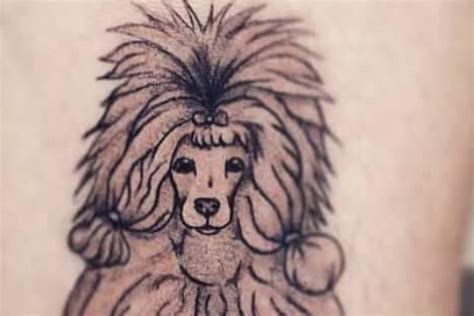 10 Beautiful Poodle Tattoo Designs For Dog Lovers Pet Reader