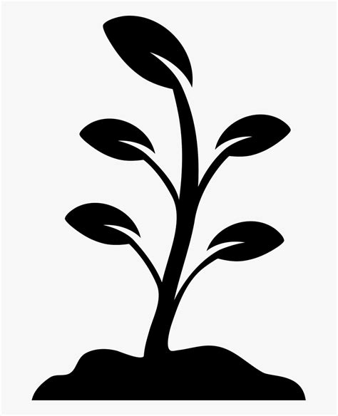 Growing Plant Plant Vector Black And White Hd Png Download Kindpng