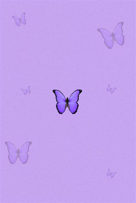 100 Cute Background Aesthetic Butterfly Designs For Phone And Desktop