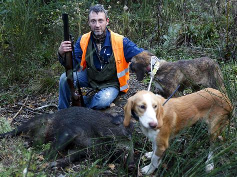 Call For End To Hunting Curbs As Wild Boars Rampage Across Italy The