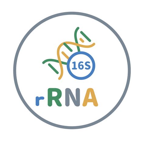 Microbiome 16s Rrna Sequencing Taiwan Genomic Industry Alliance Inc