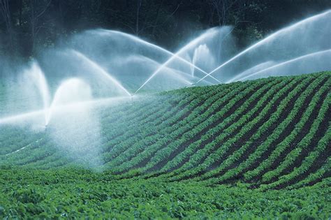 The Ultimate Guide To Crop Irrigation Systems