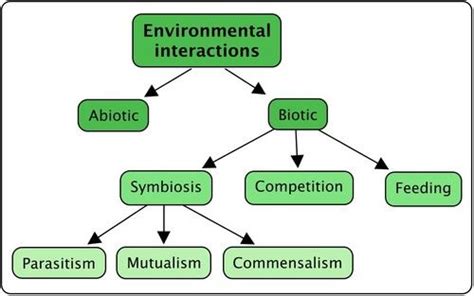 21 What Is Ecology Interactions And Interdependence Within The