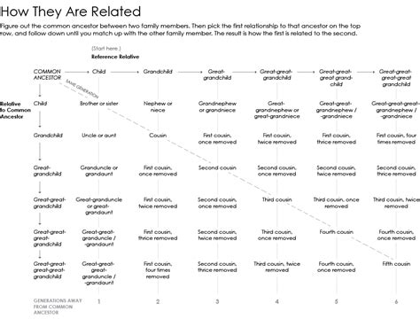 Chart Of Cousins Flowingdata