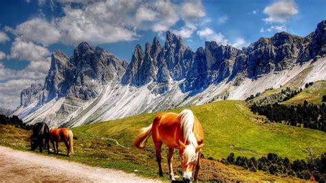 Horses In The Dolomites Mountains Italy South Tyrol Landscape Wallpaper Hd 3840x2400