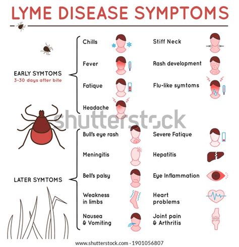 Protect Yourself Against Ticks Lyme Disease Stock Illustration 1901056807