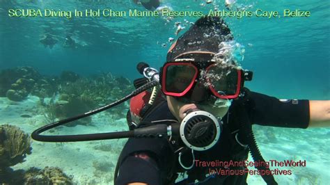 Scuba Diving In Hol Chan Marine Reserve And Snorkeling In Shark Ray