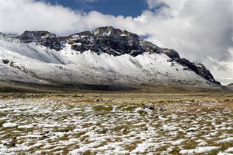 Snow Covered Patagonic Steppe Perito License Image 70706282