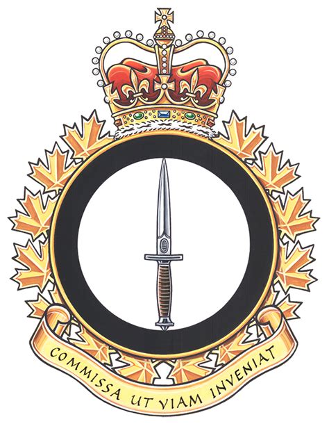 Canadian Special Operations Command Badge Ubicaciondepersonascdmxgobmx