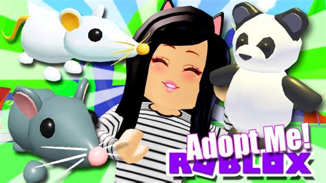 New Rats And Panda Pets In Adopt Me Roblox Tea News Update Youtube