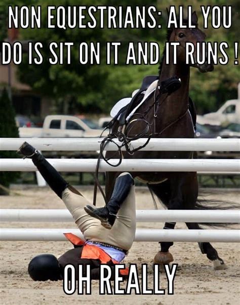 17 Of Our Favorite Equestrian Memes