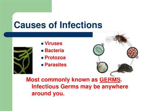 Ppt Infection Control Powerpoint Presentation Free Download Id4971527