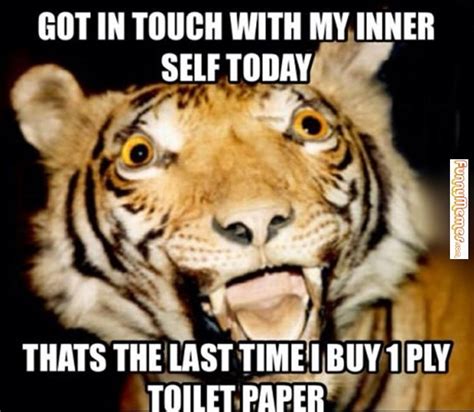 Funny cat captions funny animal memes funny animal pictures funny animals funny memes animal humor pictures images funny photos cute animals. 50+ Funny Animal Memes 2019 to Break Your Jaws With Laughter