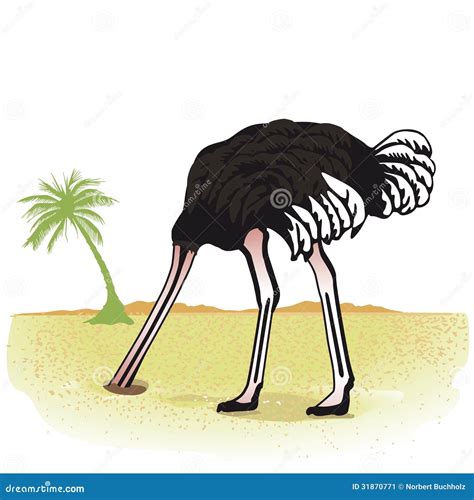 Ostrich With Head In Sand Stock Vector Illustration Of Standing 31870771