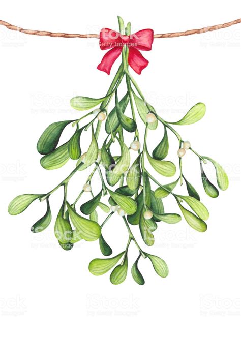 Watercolor Bouquet With Mistletoe And Red Bow Christmas And New Year