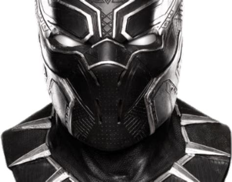 Download Hd Cub Clipart Black Panther Real Black Panther Mask