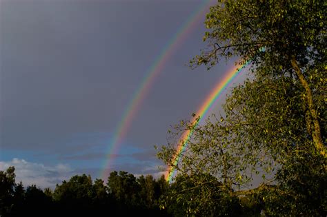 Rainbows Flickr