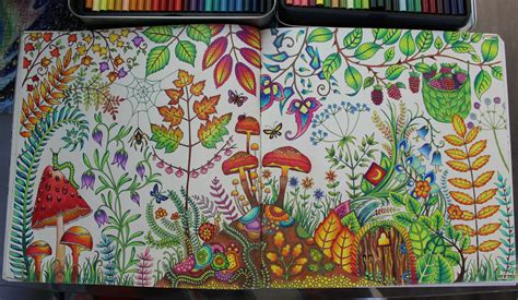 Enchanted Forest Coloring Book Finished Johanna Basford Enchanted