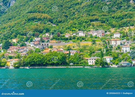 Oleandra Photos Free And Royalty Free Stock Photos From Dreamstime