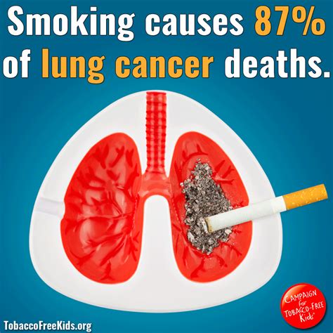 why do cigarettes cause lung cancer cancerwalls