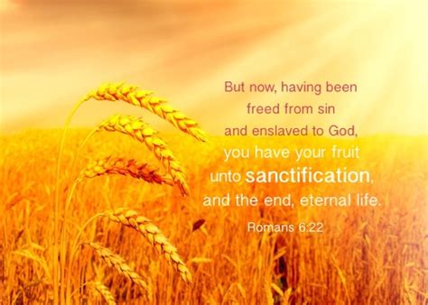 Rom 622 But Now Having Been Freed From Sin And Enslaved To God You
