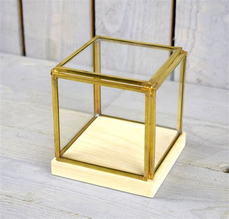 Small Glass And Brass Display Showcase Box Dome With Wooden Base