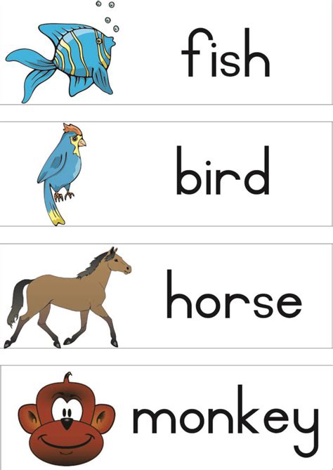 Animals Vocabulary Teacha