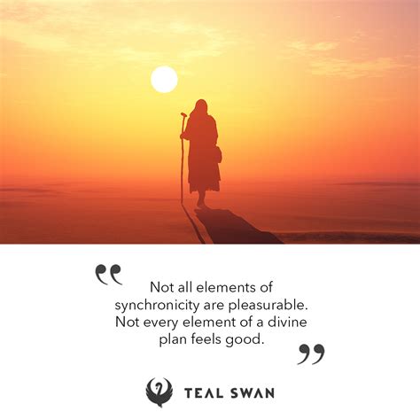 Divine Plan Quotes Teal Swan