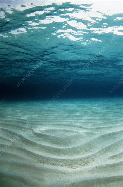 How Deep Is The Sand On Ocean Floor Viewfloor Co