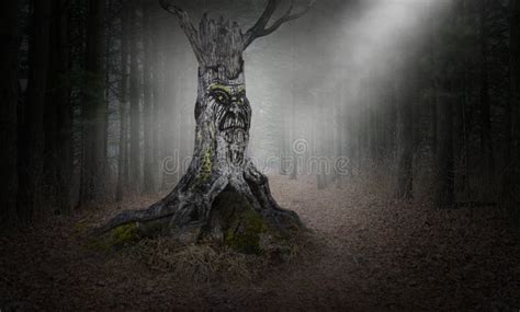 Evil Woods Forest Tree Background Danger Stock Photo Image Of
