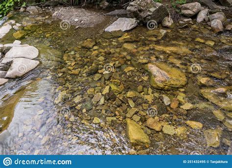 Close Up Of Mountain Water With Stones In The River Stock Image Image