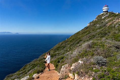 Cape Point Guide All You Need To Know About The Peninsula