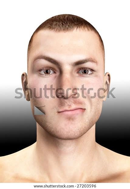 Image Peeled Human Face Stock Illustration 27203596 Shutterstock