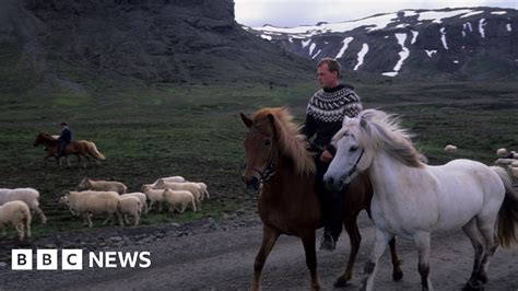 Icelanders Lend Sick Farmers A Helping Hand