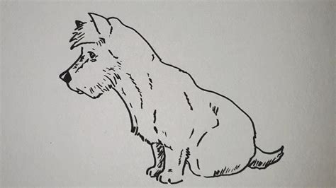 Kako Nacrtati Psa Koji Sedihow To Draw A Dog Sitting Step By Step